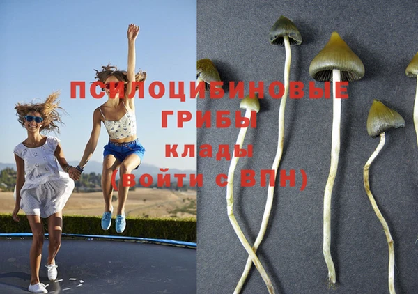 хмурый Нягань