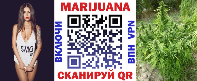 Конопля планчик  цена   Новопавловск 